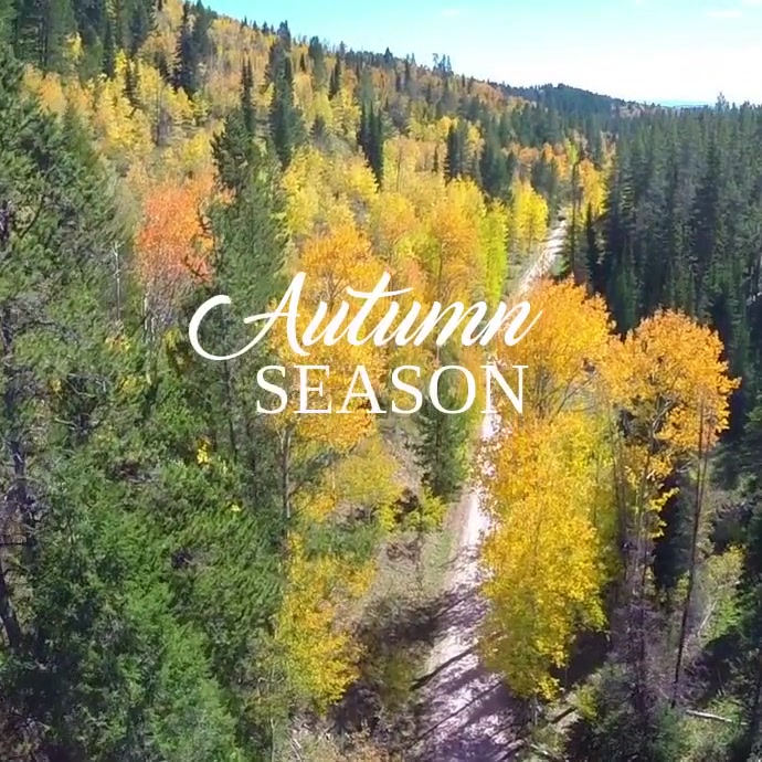 87 Autumn and Fall Template | PosterMyWall