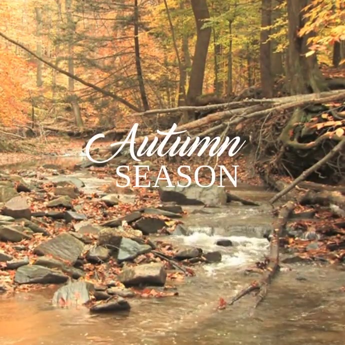 Aug Fall Posts 88 Autumn and Fall Template | PosterMyWall