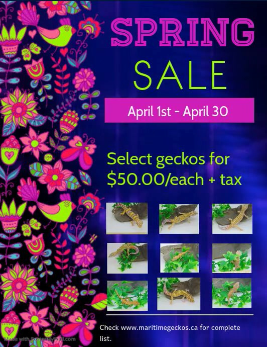 Copy of Copy of Spring Retail Video Spring Sale Video, Spring Video ...