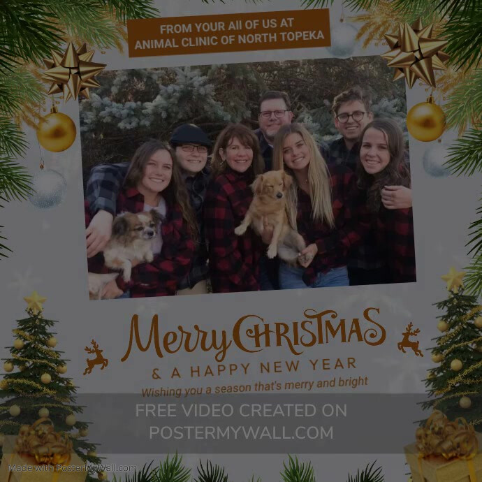 Merry Christmas To Family Post Template