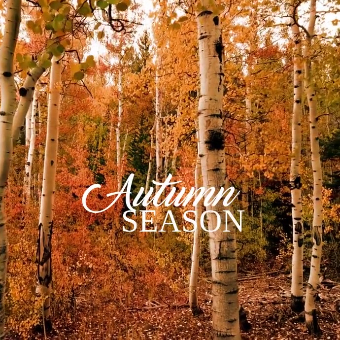 92 Autumn and Fall Template | PosterMyWall