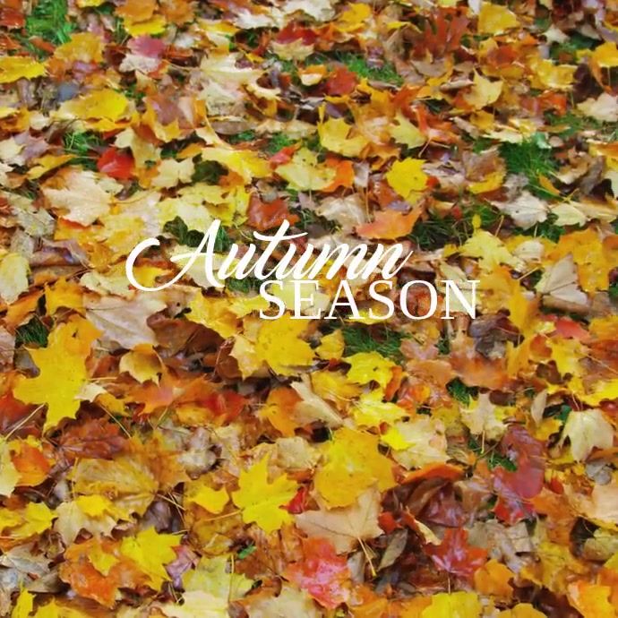 Fall Themed Posts 96 Autumn and Fall Template | PosterMyWall