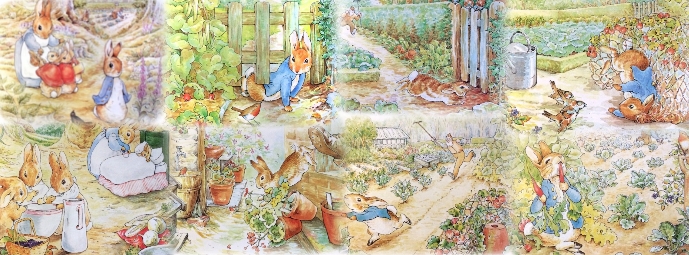 Peter Rabbit Facebook Cover Photo Template | PosterMyWall