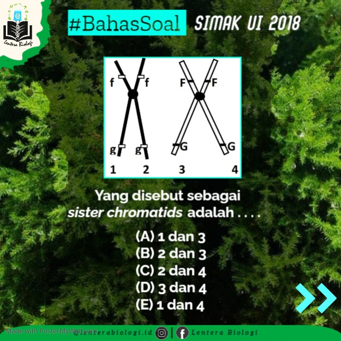 Copy of Copy of Copy of Salinan Salinan Salinan Salinan Salinan Salinan ...