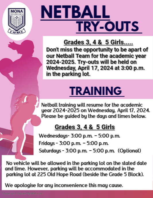 Pink Netball Game Day Flyer | PosterMyWall