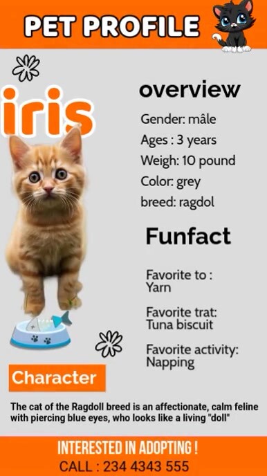 A cat adoption Digitalanzeige (9:16) template