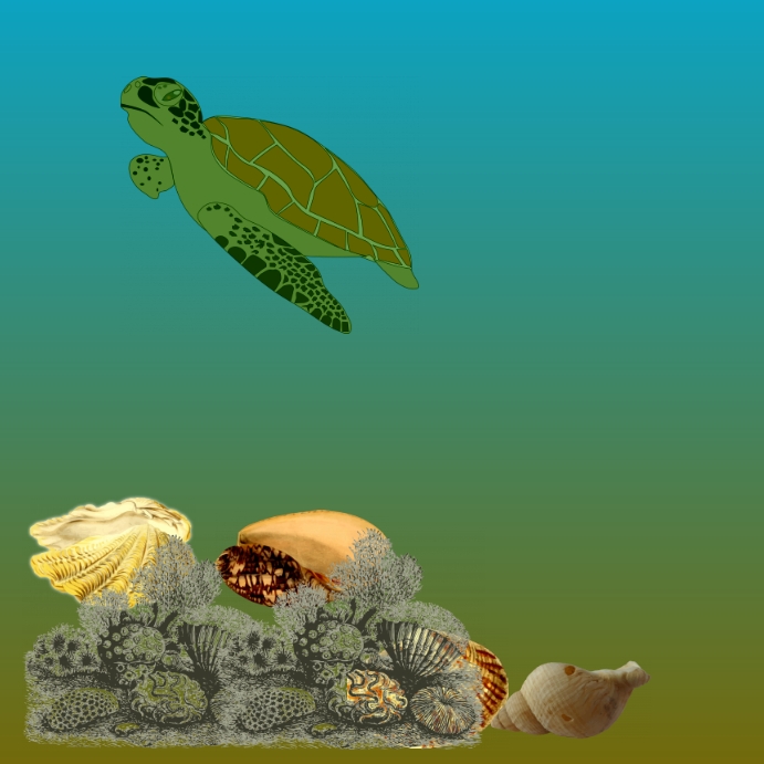 A Green Turtle's Journey Cover Page Template | PosterMyWall