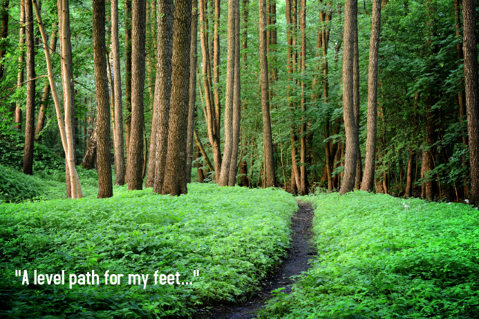 A level path for my feet Template | PosterMyWall