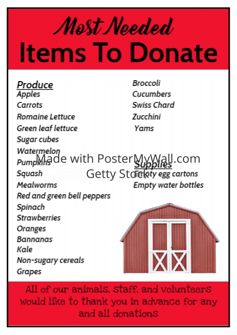 Items to Donate List Template A4