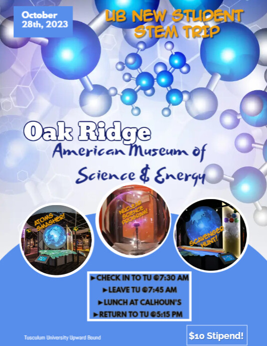 Stem Festival Flyer Template PosterMyWall