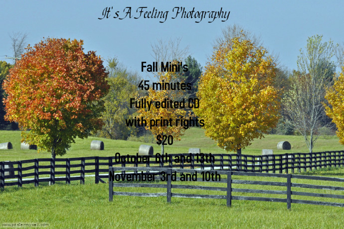 Fall Mini's | PosterMyWall