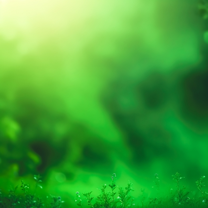 Bbd Background Copy of Abstract blurred background with my plants | PosterMyWall