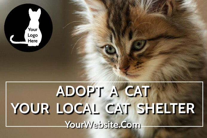 Adopt a cat Shelter Poster template