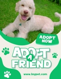 Adopt A Friend Video Flyer (US Letter) template