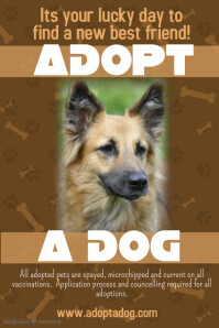 Adopt a Pet Flyer Template Poster