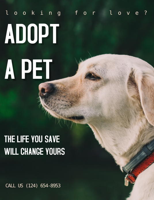 adopt a pet flyer template PosterMyWall