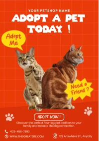 Adopt A Pet Today Orange Square A4 template