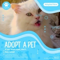 Pet Video Ads Post Instagram template