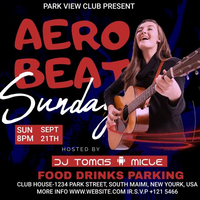 AERO BEAT 8月末まで Aero Beat ホーンボタン エアロビート ユーロ