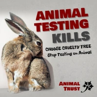 Against Animal Testing Instagram Post  Template