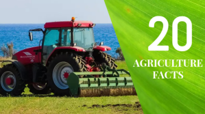 Agriculture mistakes youtube thumbnail template