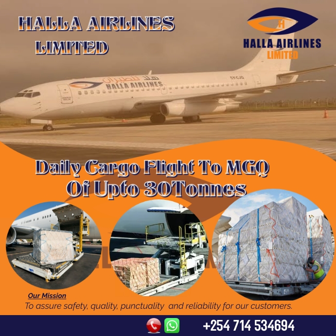 Copy of airline cargo fryer PosterMyWall