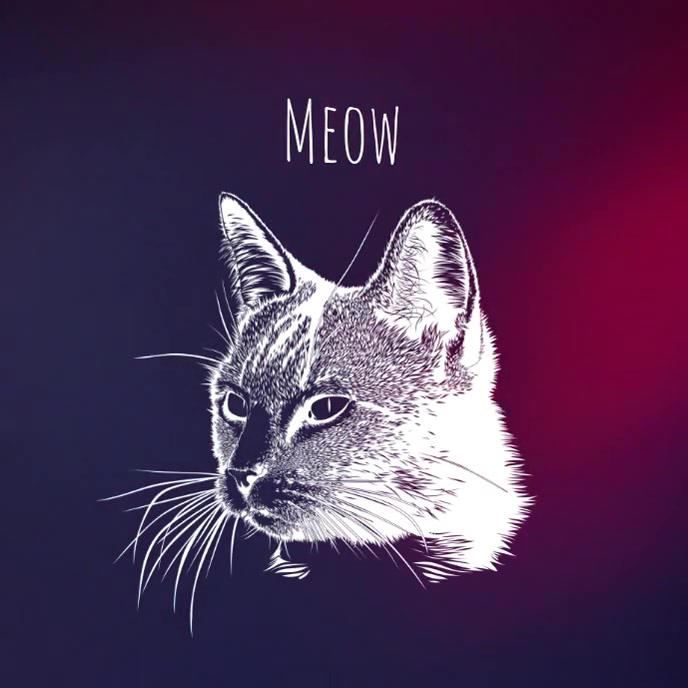 Album Art Video Meow Template PosterMyWall Album Art Video Meow Template PosterMyWall
