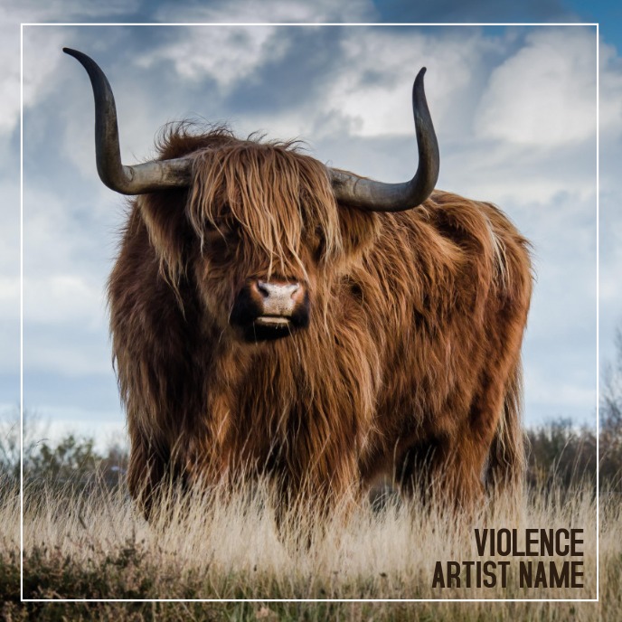 album cover Okładka albumu template