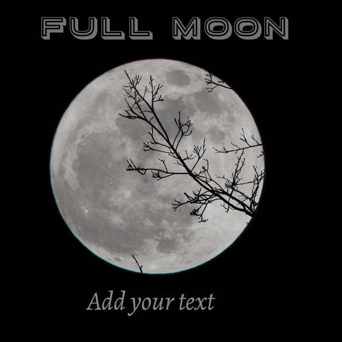 Copy of Album cover moon PosterMyWall