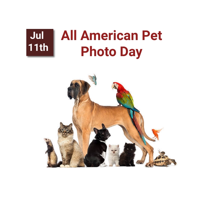 all american pet photo day Template PosterMyWall