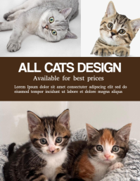 All cats design templates Ulotka (US Letter)