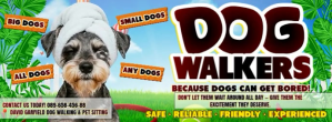All Dogs Welcome: Walks, Wagging & Woofs! template