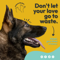 pet adoption shelter Instagram Post Template | PosterMyWall