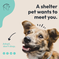 Pet Adoption Ads Template | PosterMyWall