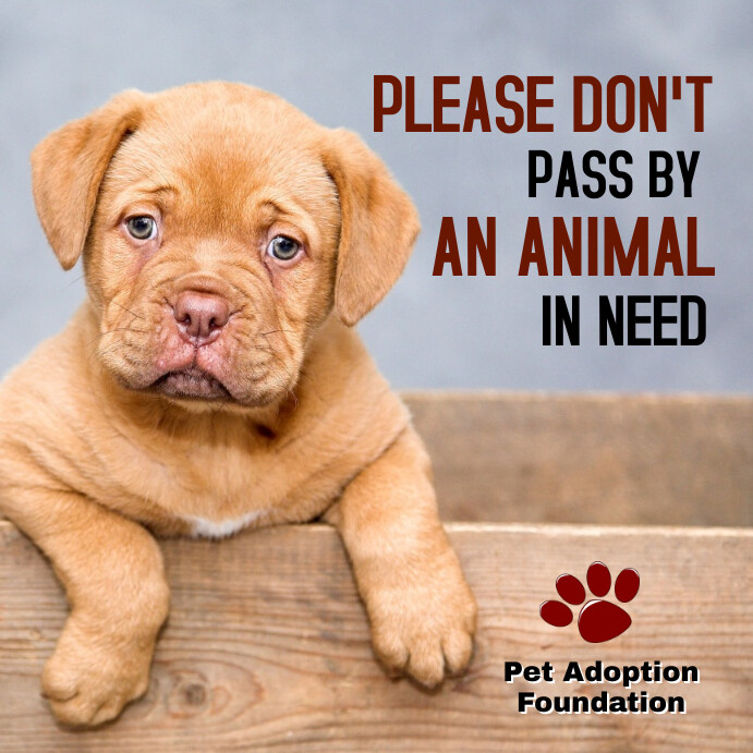 Animal Adoption Campaign Instagram Post Template