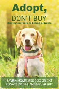 Animal Adoption Center Poster Template Affiche