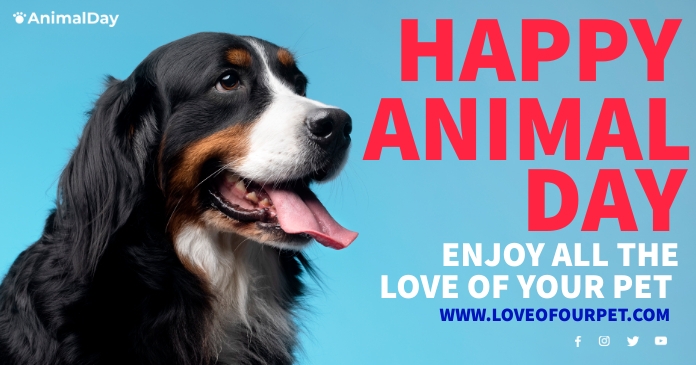 Animal Care Flyers Imagem partilhada do Facebook template