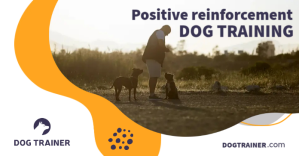 Weiß Dog Training Facebook Shared Image Template