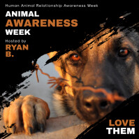 Create Free Animal Rights Posters | PosterMyWall