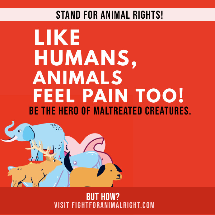 Animal Rights Awareness instagram post Template | PosterMyWall