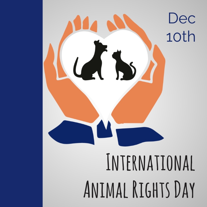 Animal Rights Day Template | PosterMyWall