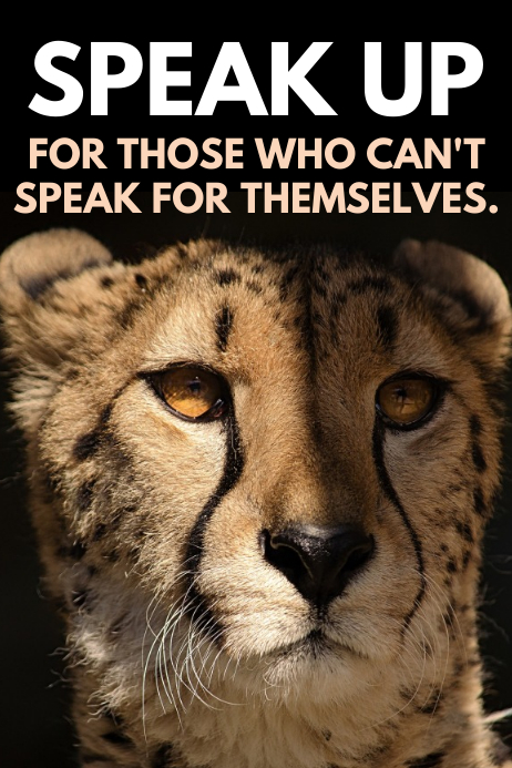 Animal Rights Poster Template | PosterMyWall