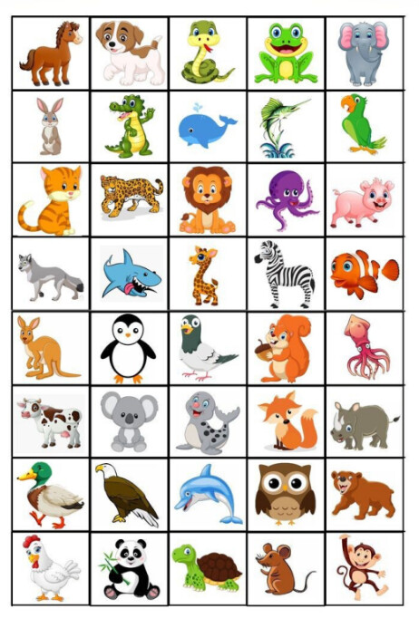 White Animal Worksheet Posters Template | PosterMyWall