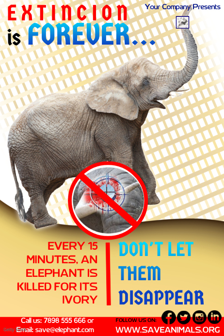 animals1 Template | PosterMyWall