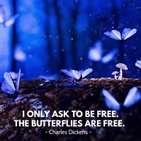 Animated Freedom Motivational Instagram Quote Post Carré (1:1) template