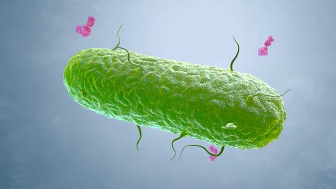 Germ Animation Animated germ biology video Template | PosterMyWall
