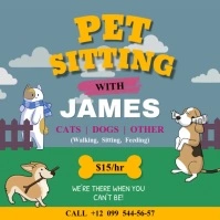 Animated Pet Sitter Services Ad Square Video template