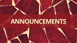 红色 Announcements Digitale display Template