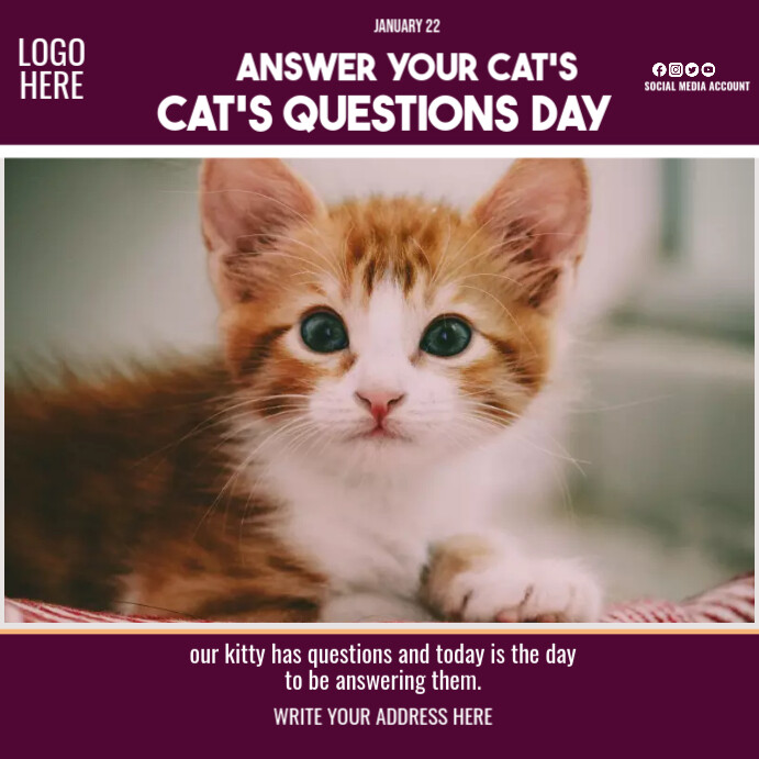 Answer Your Cat's Questions Day Instagram Plasing template