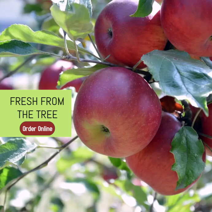 APPLE FARM TEMPLATE PosterMyWall